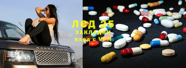 гашик Кулебаки