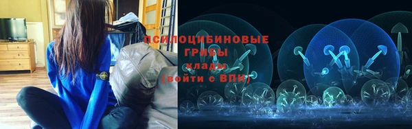 гидропоника Ладушкин