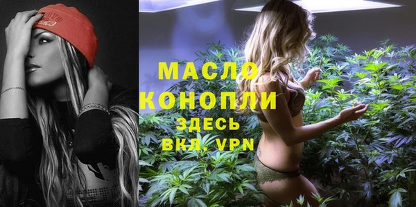 гашик Кулебаки