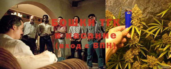 гашик Кулебаки