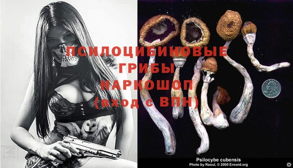шишки Похвистнево