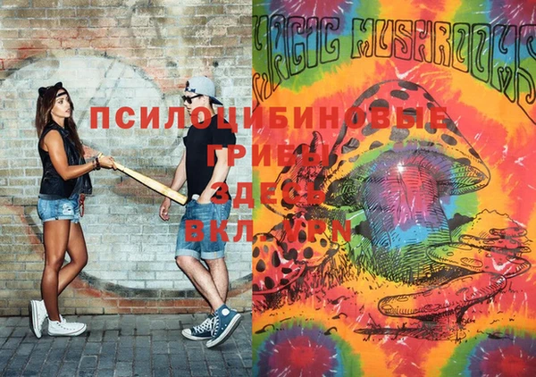 гашик Кулебаки