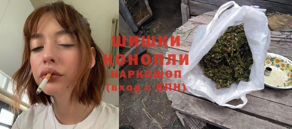 винт Лабытнанги