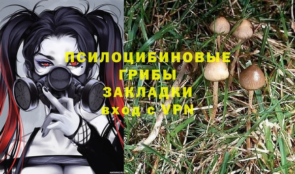 винт Лабытнанги